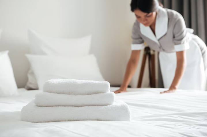 Técnicas de Housekeeping - Nível 1